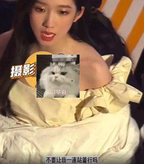 董艳颖被人爆料视频,揭秘背后真相  第3张